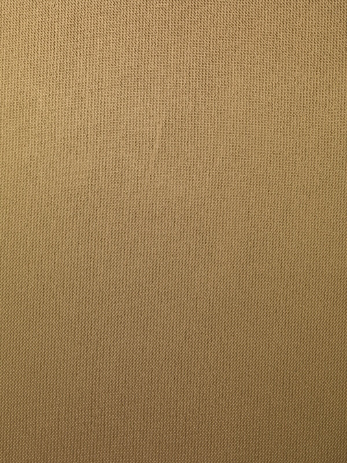 Embrace Collection Plain Color fabric image 04EBG view 1
