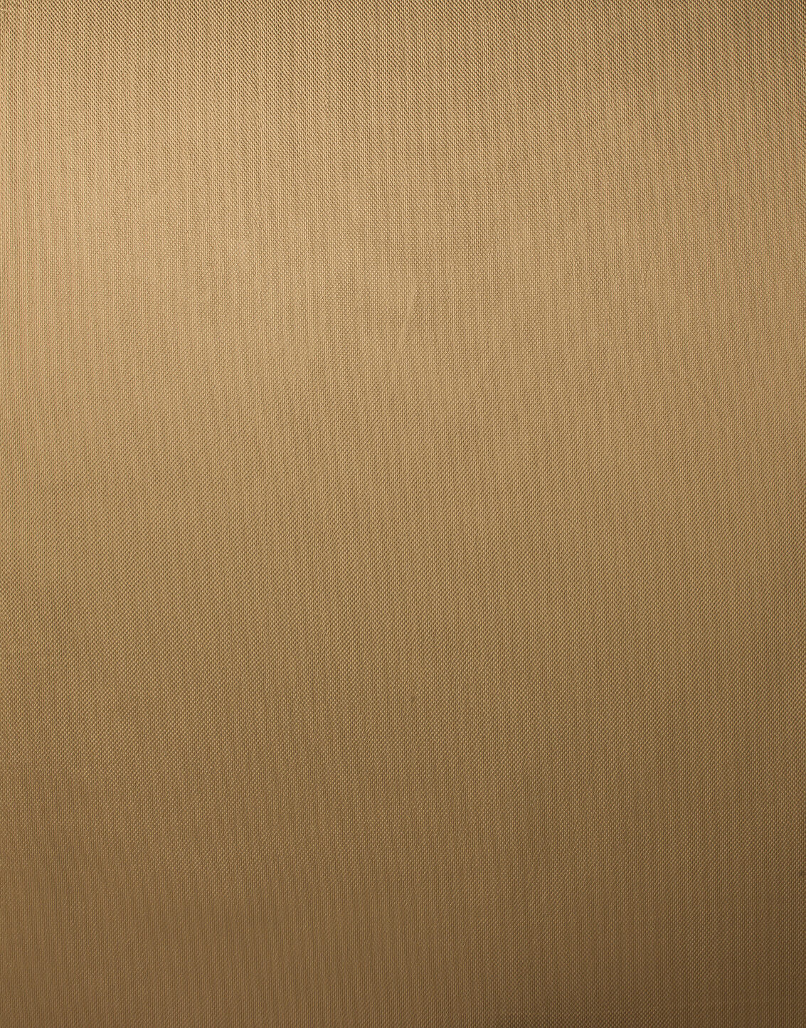 Embrace Collection Plain Color fabric image 04EBG view 2