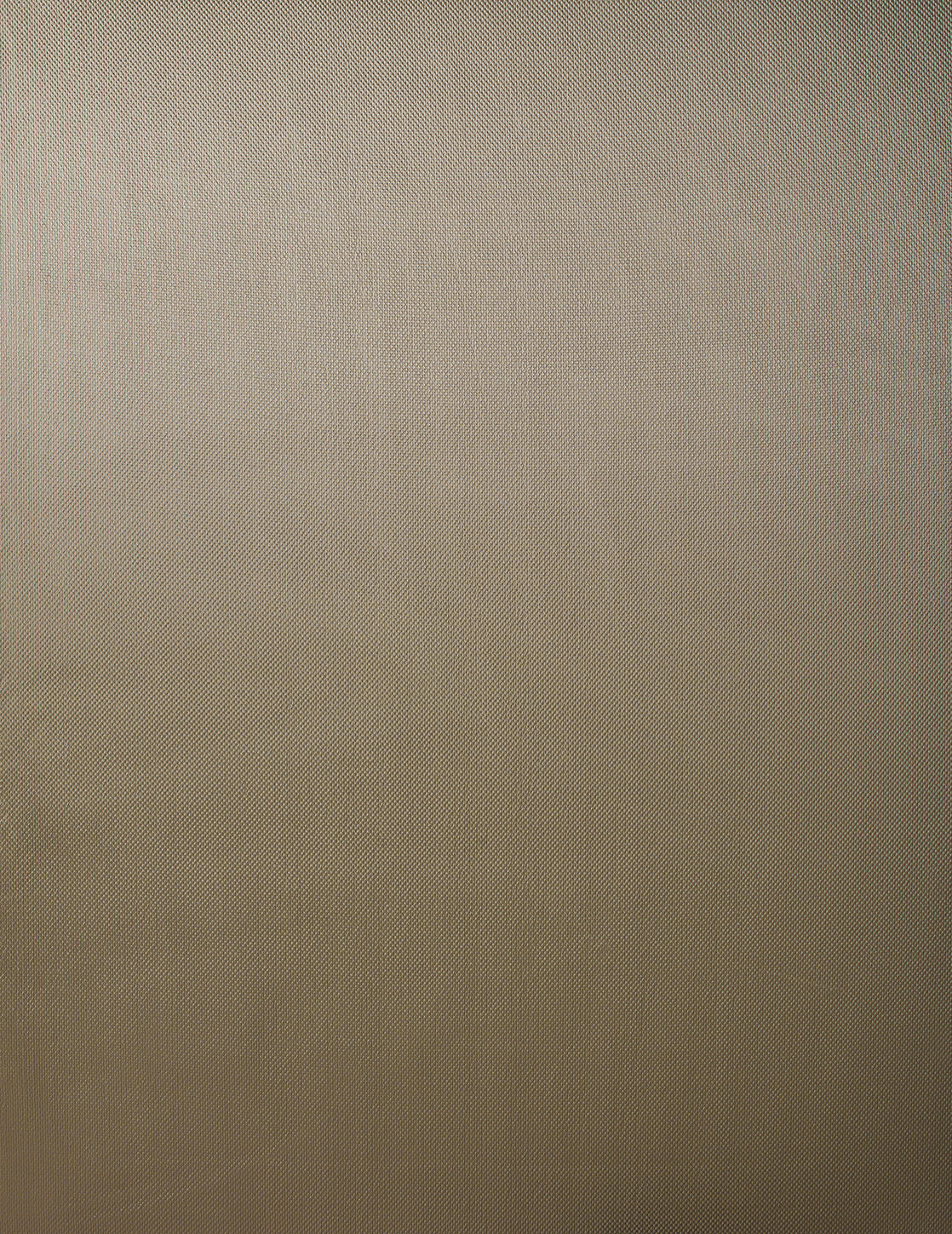 Embrace Collection Plain Color fabric image 04FUG view 1