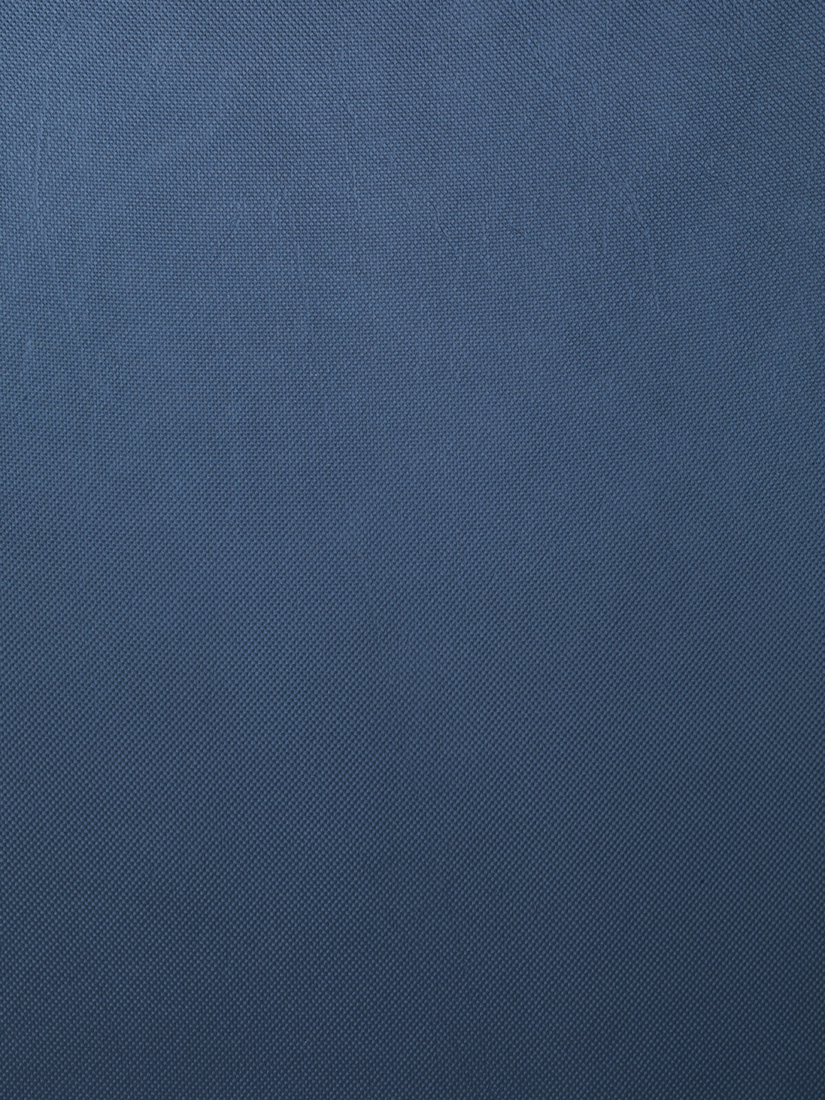 Embrace Collection Plain Color fabric image 04LBG view 2