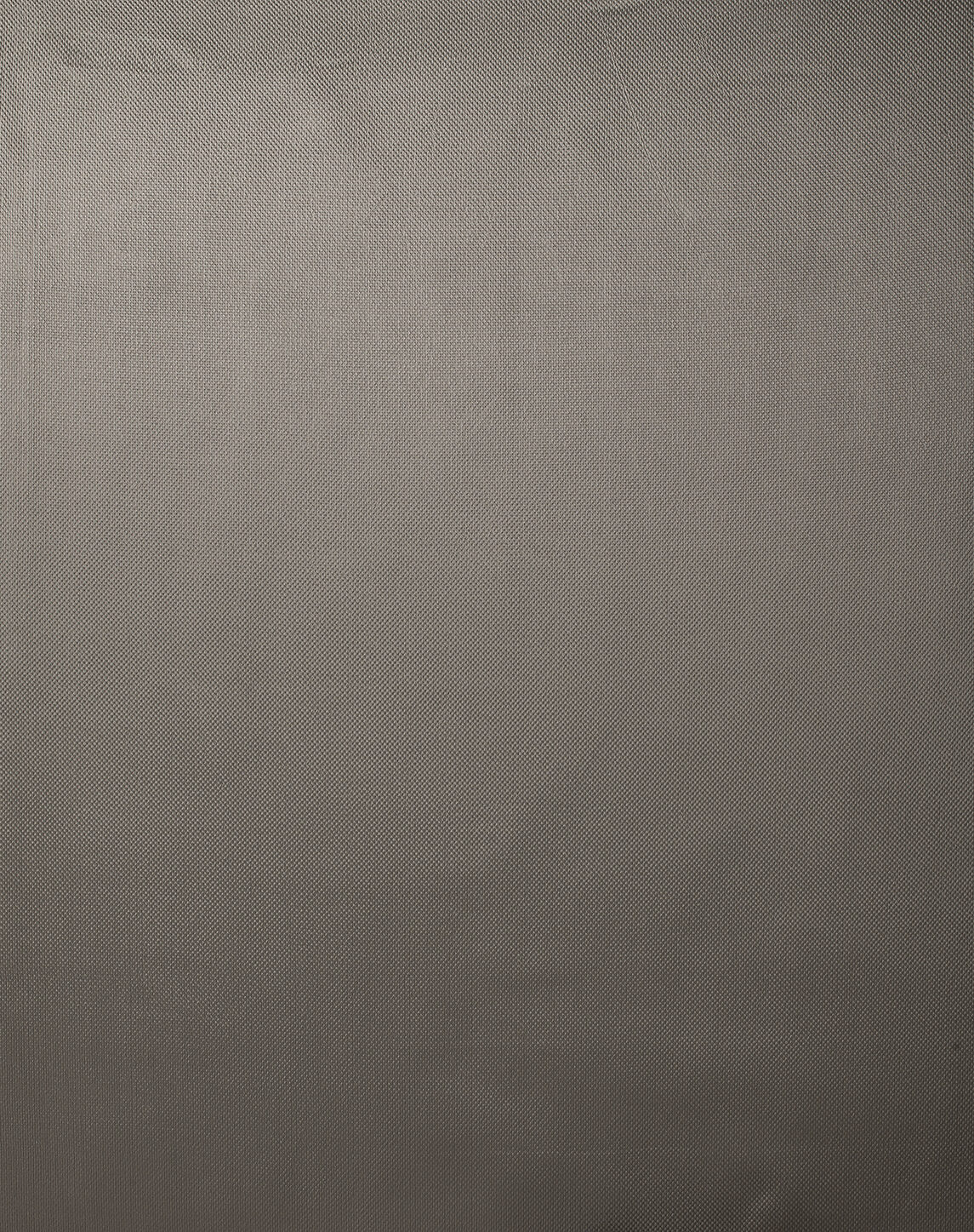 Embrace Collection Plain Color fabric image 04PWG view 1