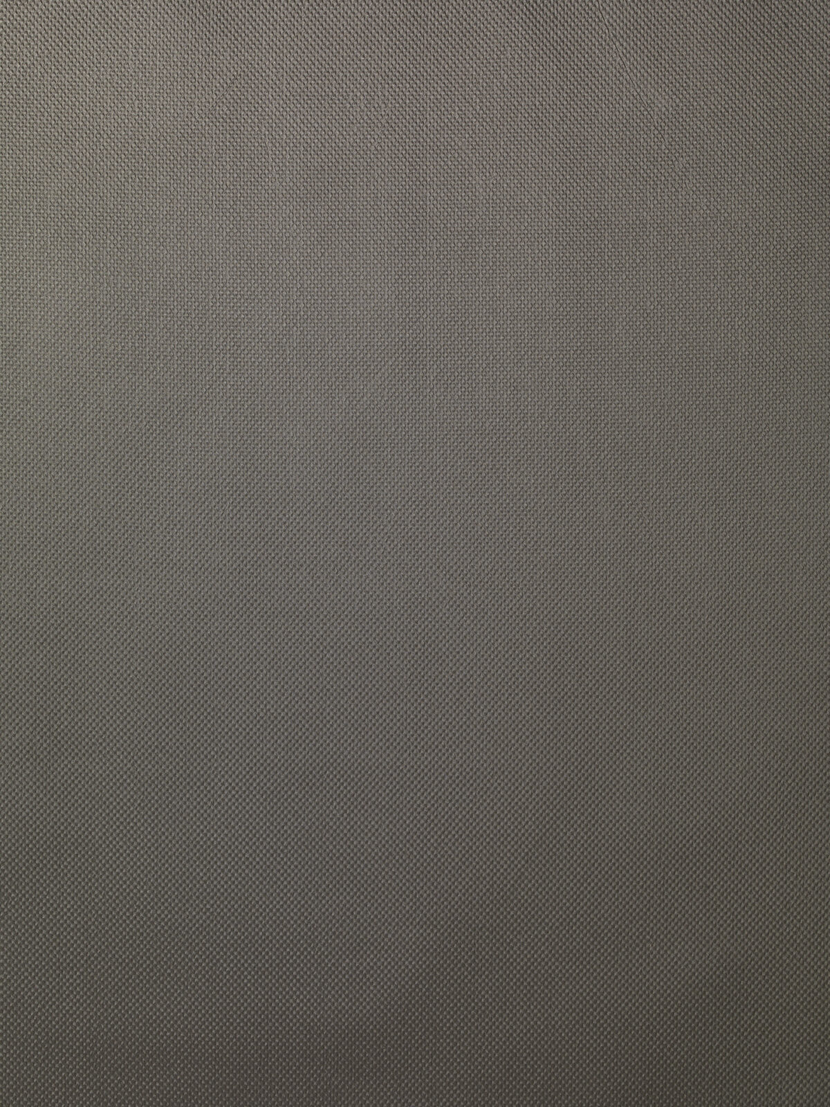 Embrace Collection Plain Color fabric image 04PWG view 2