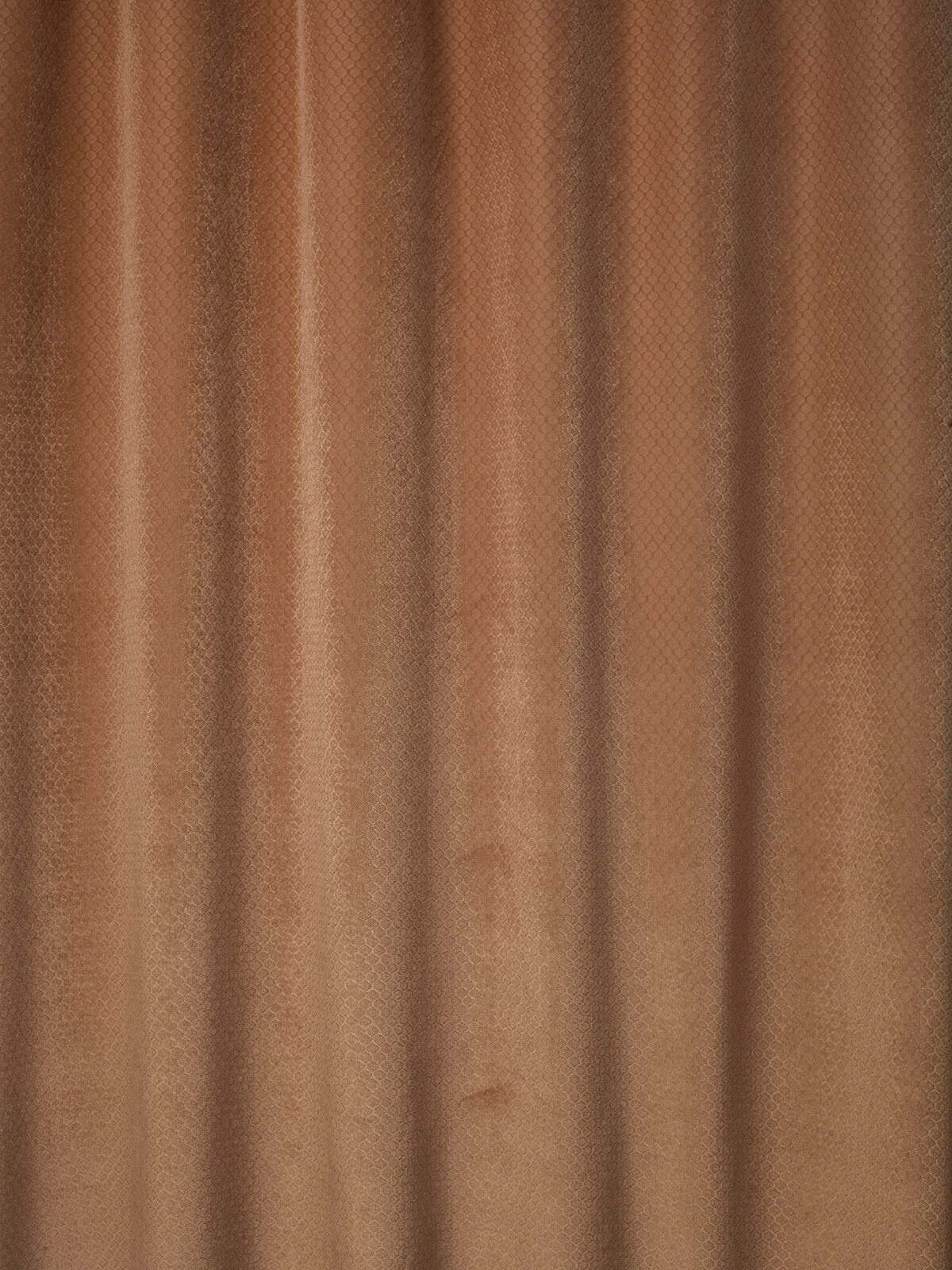 Honey Collection Main Design fabric image 00AP view 2