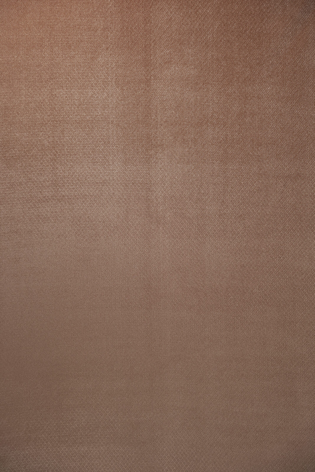 Honey Collection Main Design fabric image 00AP view 3
