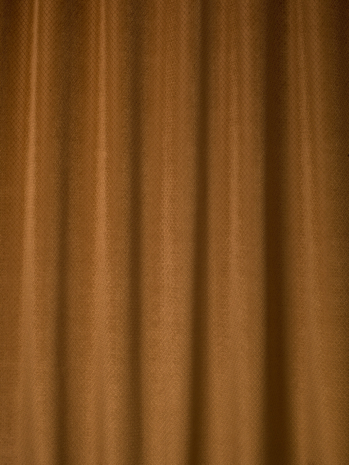 Honey Collection Main Design fabric image 00CO view 1