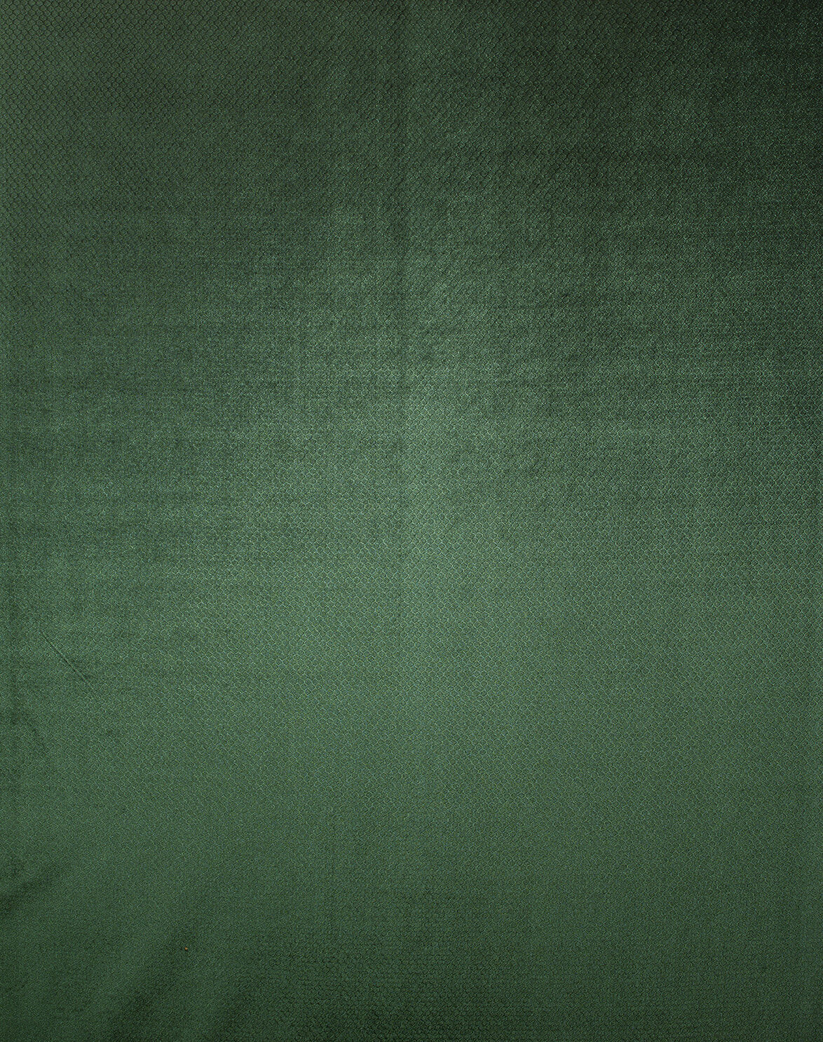 Honey Collection Main Design fabric image 00FO view 1