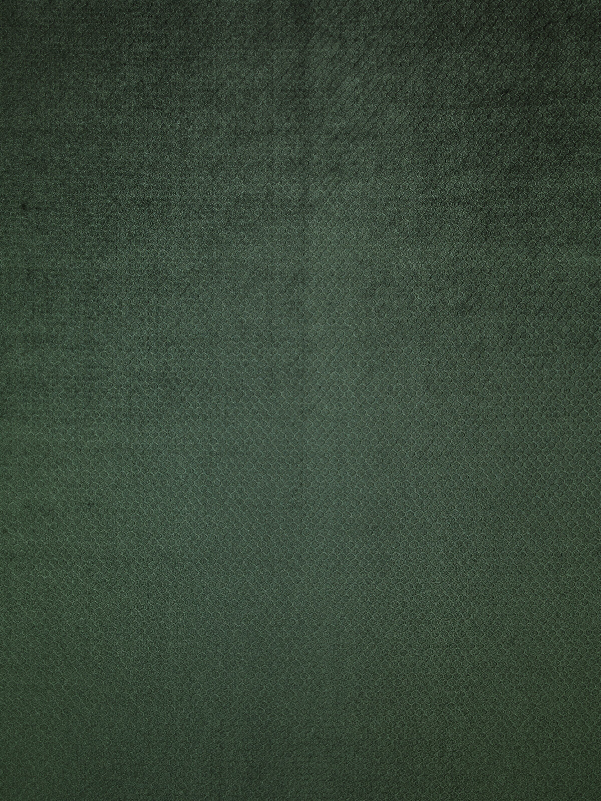 Honey Collection Main Design fabric image 00FO view 2