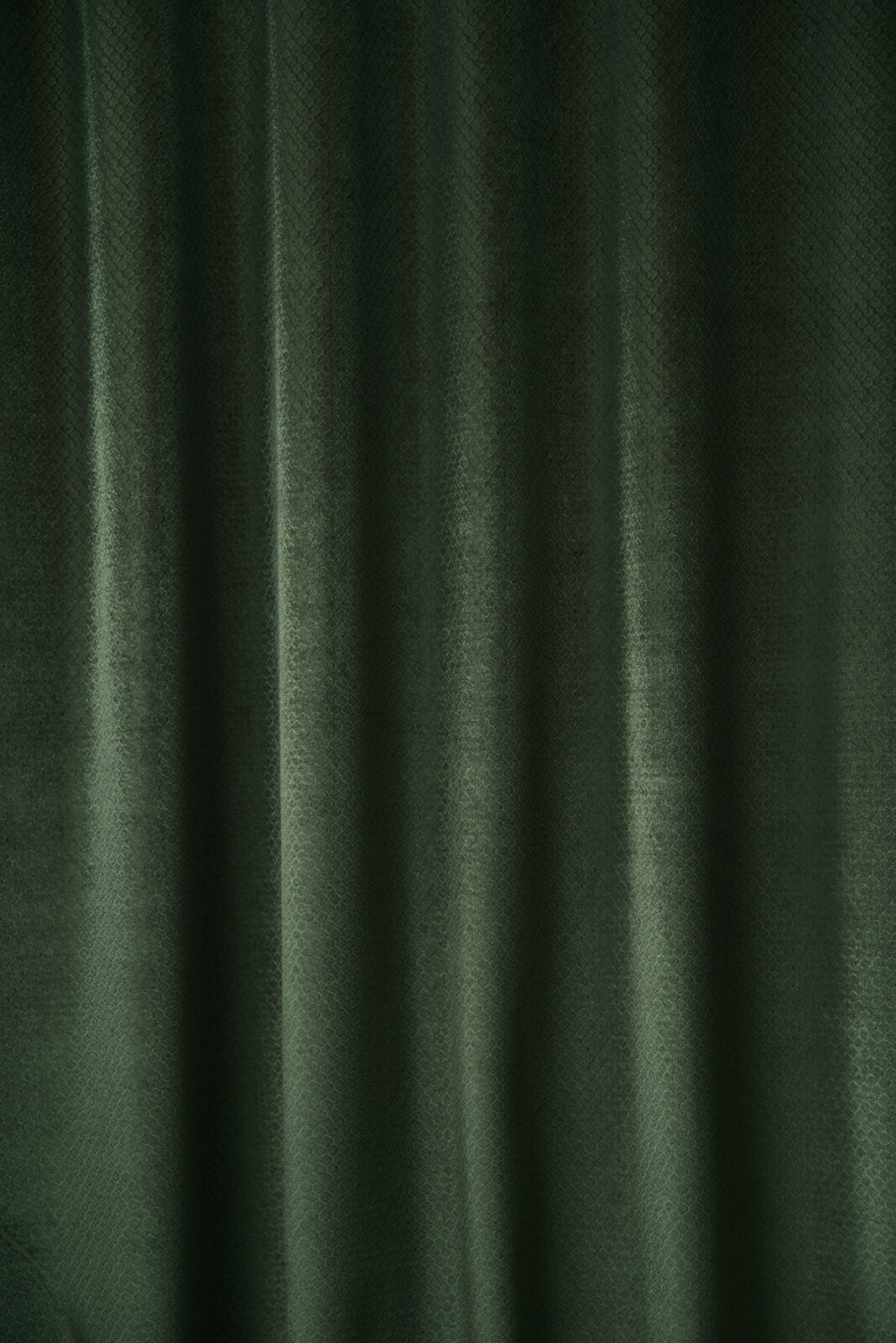 Honey Collection Main Design fabric image 00FO view 3