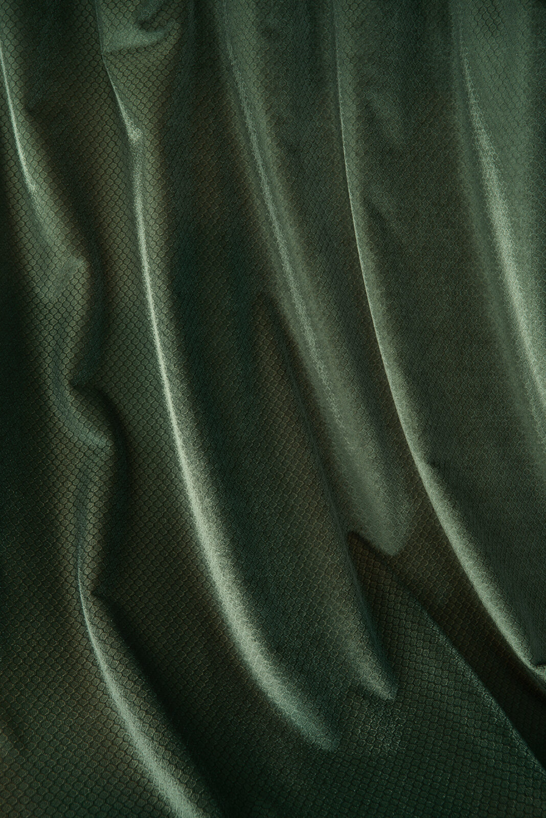 Honey Collection Main Design fabric image 00FO view 4