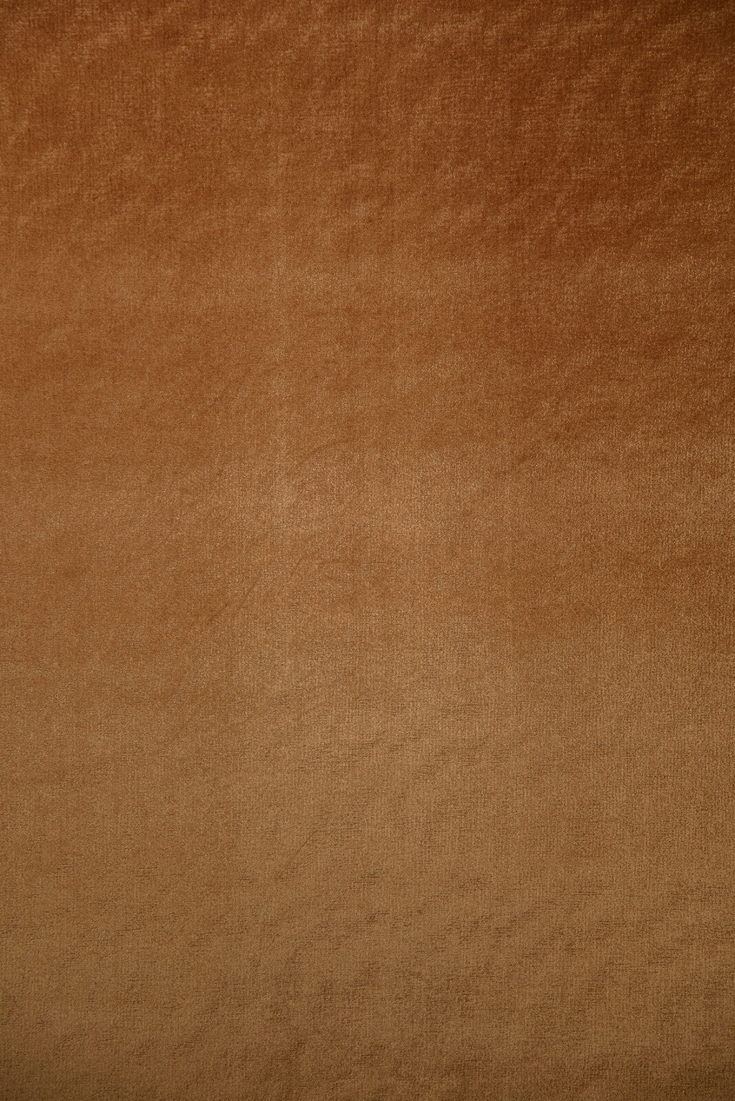 Leaf Collection Plain Color fabric image 04CO view 3