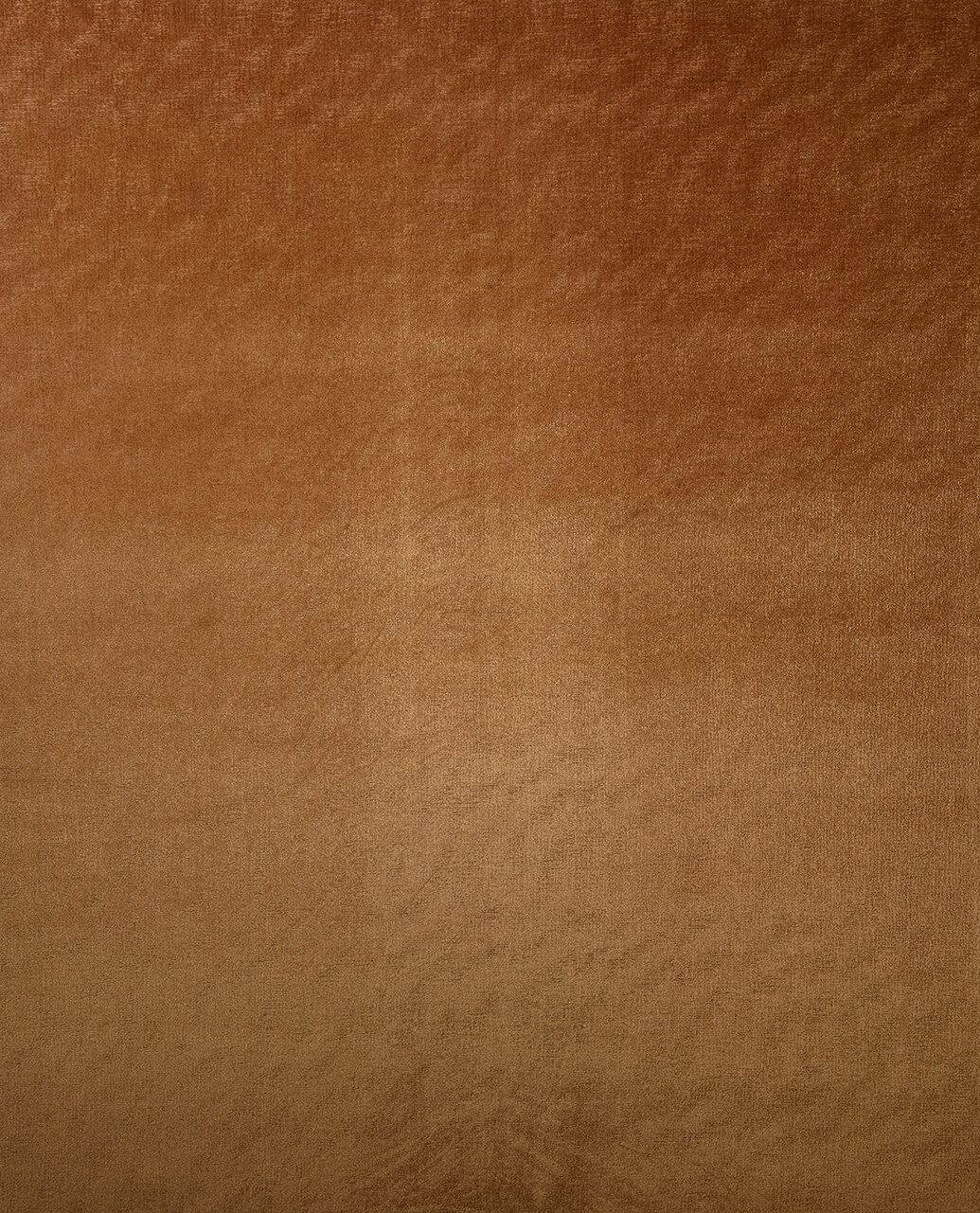 Leaf Collection Plain Color fabric image 04CO view 4