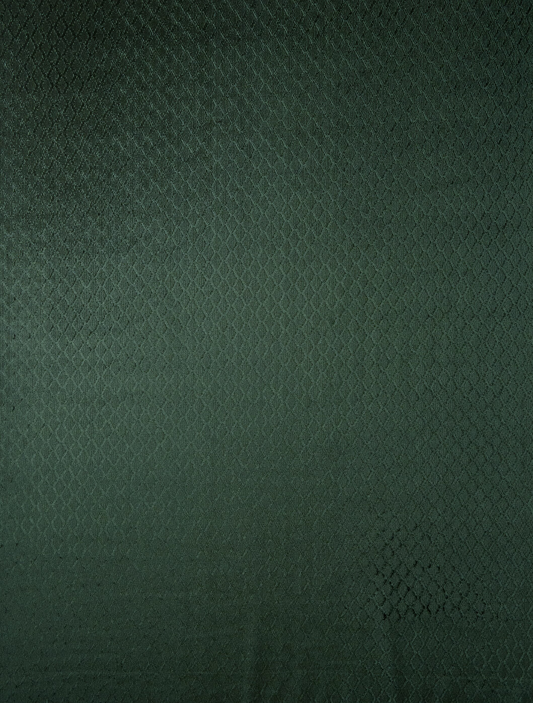 Regalia Collection Main Design fabric image 00FO view 2