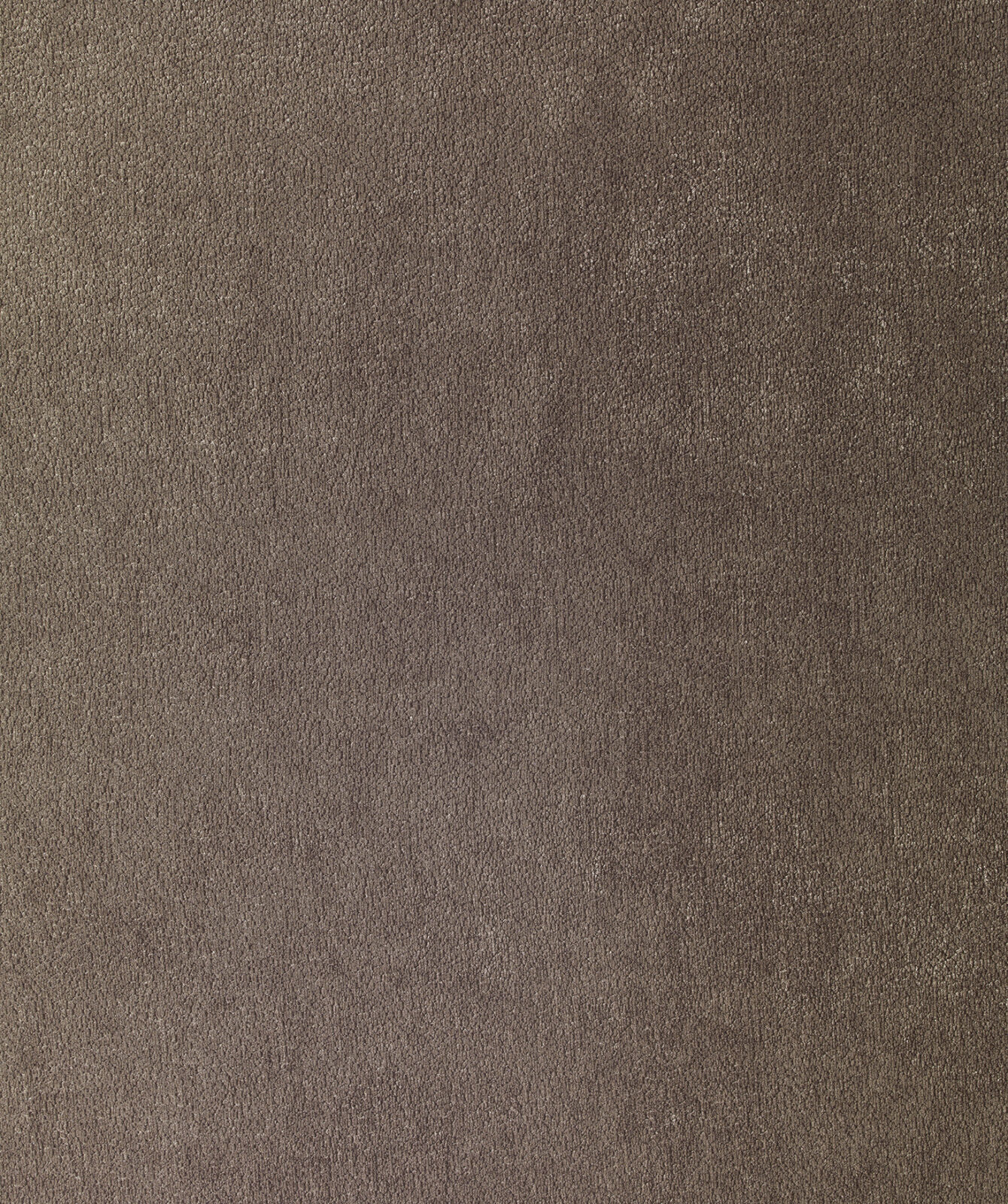 Shade Collection Plain Color fabric image 01TF view 2