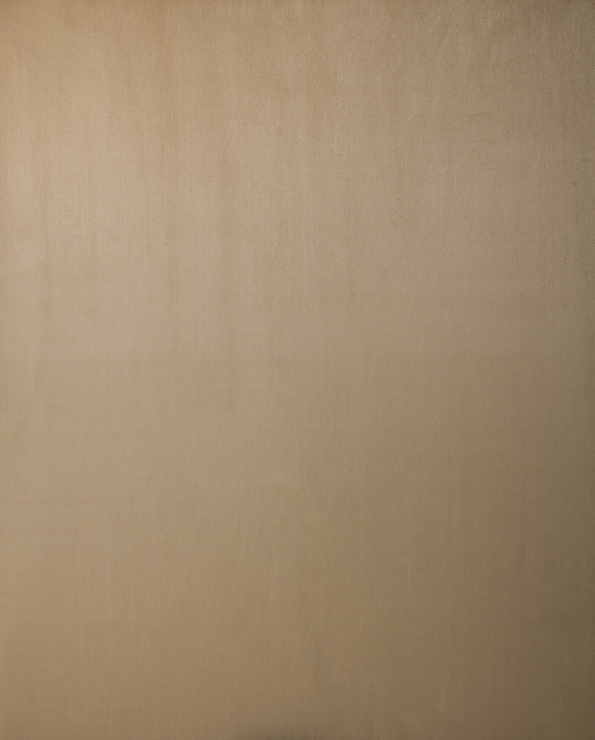 Velure Collection Plain Color fabric image 04GO view 1
