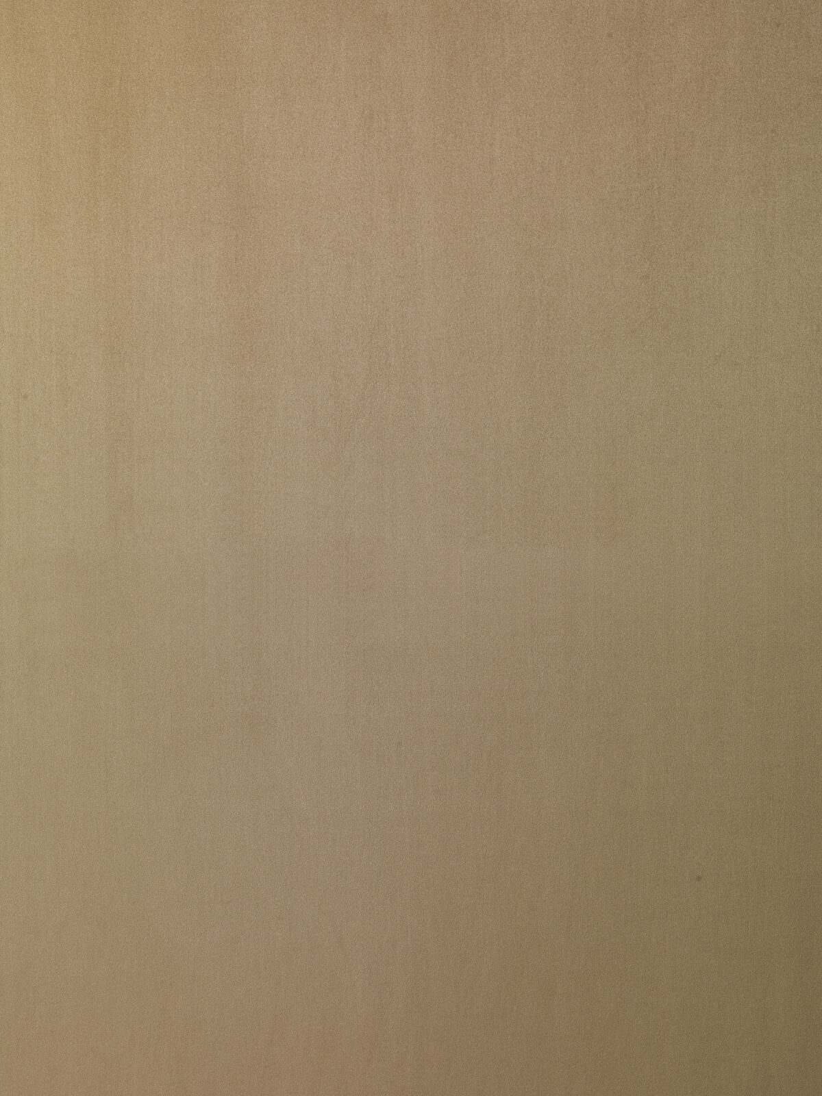 Velure Collection Plain Color fabric image 04GO view 2