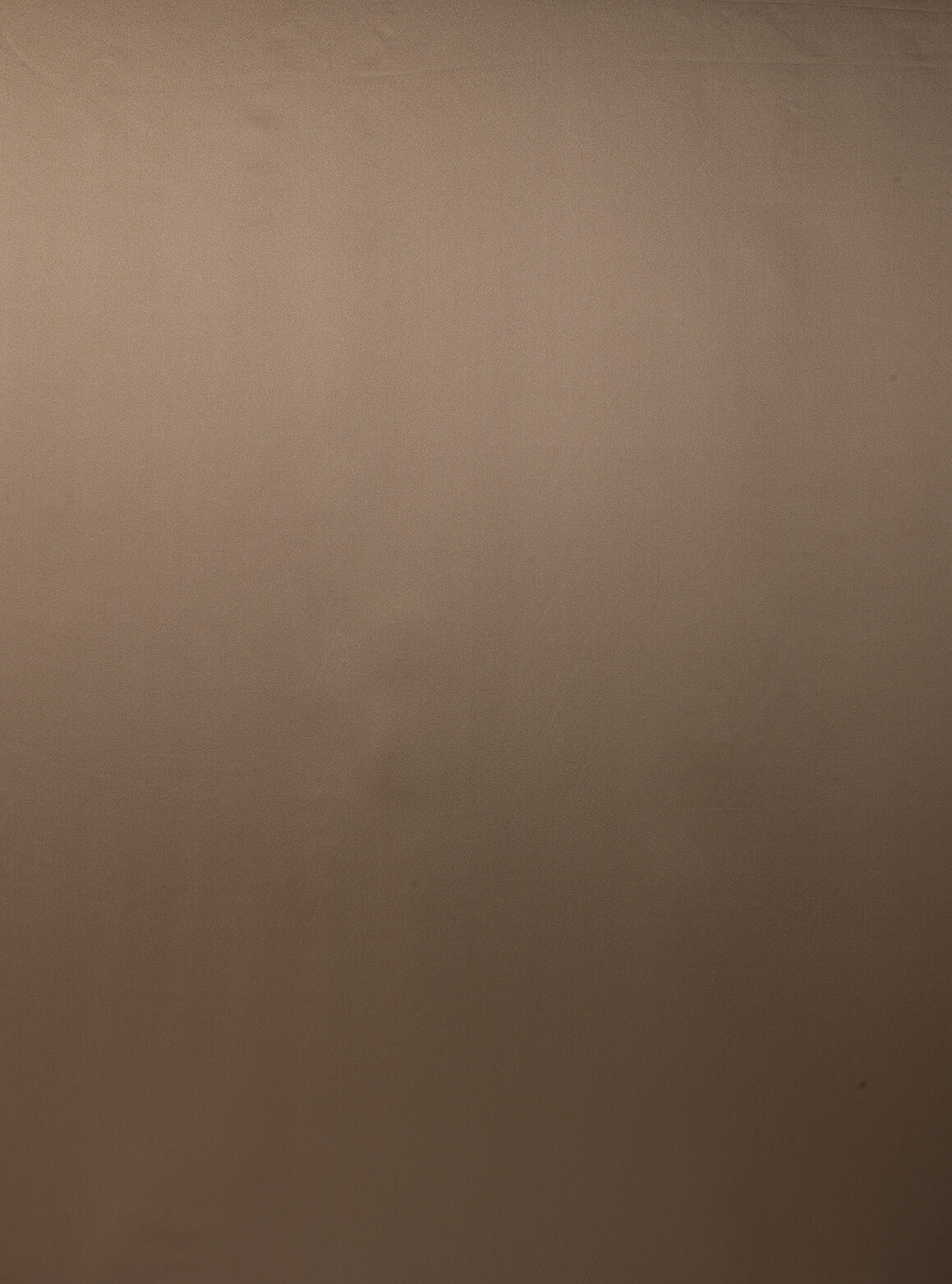Vivaldi Collection Plain Color fabric image 04EBG view 3
