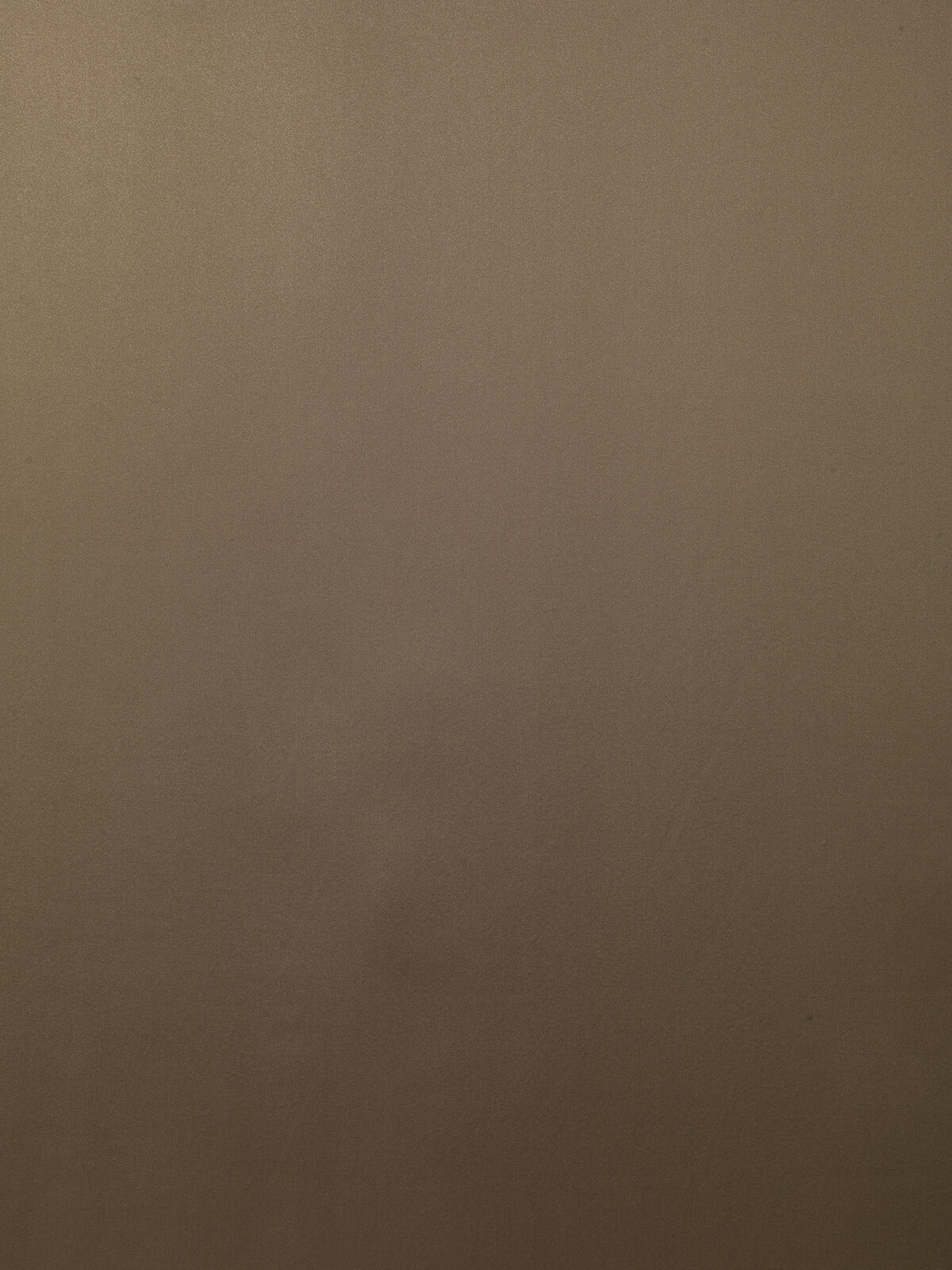 Vivaldi Collection Plain Color fabric image 04EBG view 4