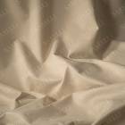 Plain Color