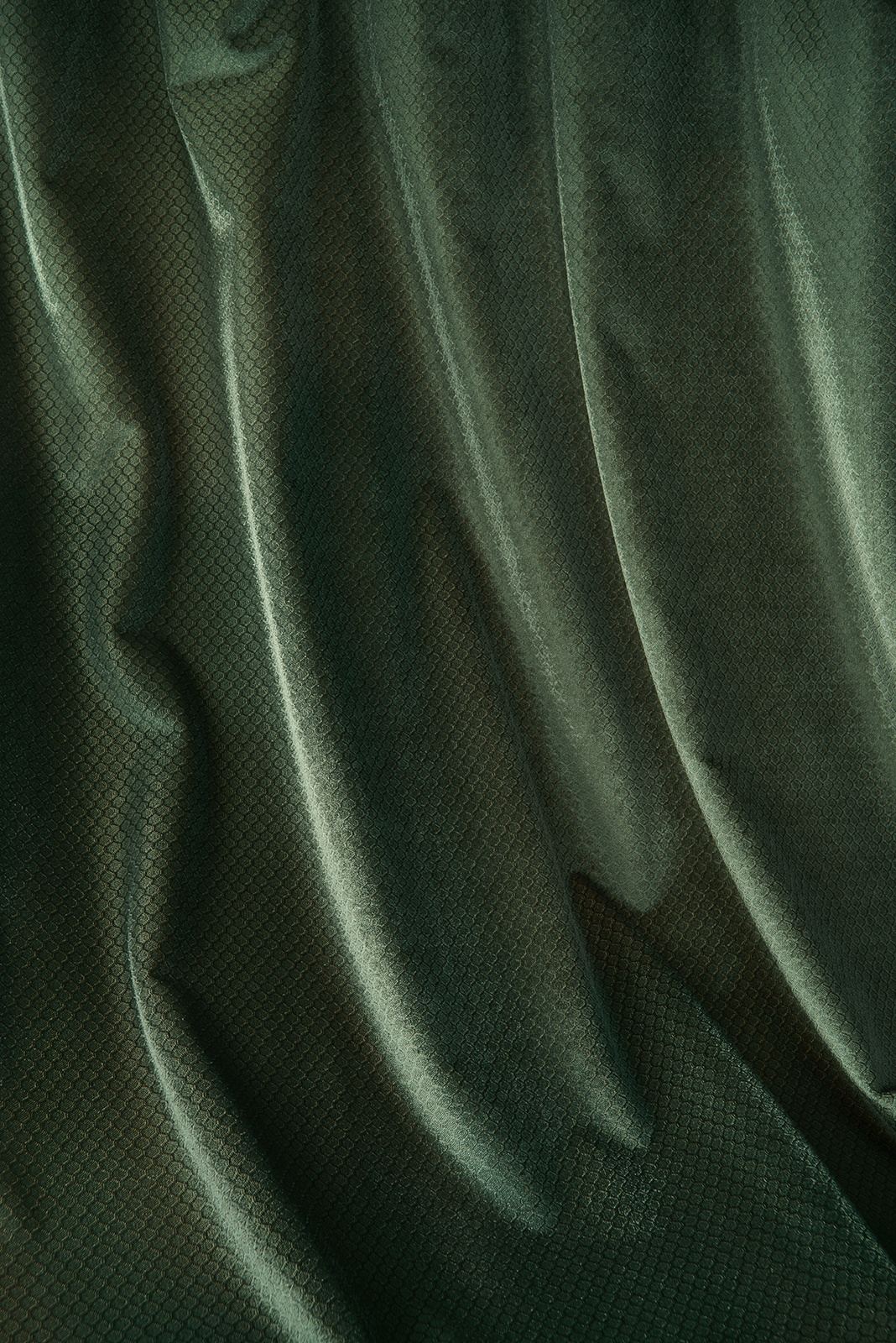 Honey Collection Main Design fabric image 00FO view 1