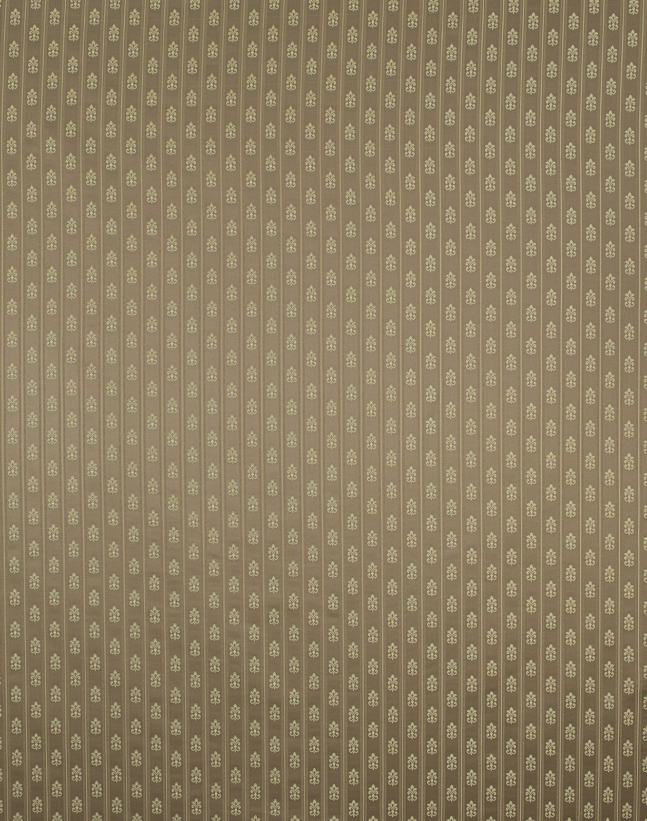 Chateau Collection Little Coordinated fabric image EBG view 1