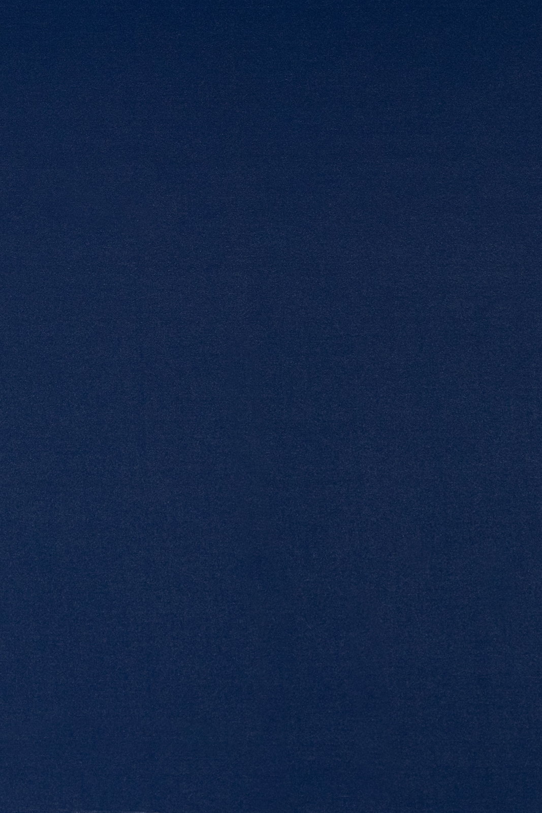 Medici Collection Plain Color fabric image NB view 1