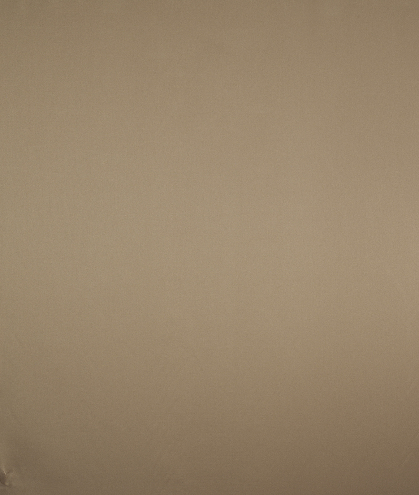 Atelier Collection Plain Color fabric image CEG view 1