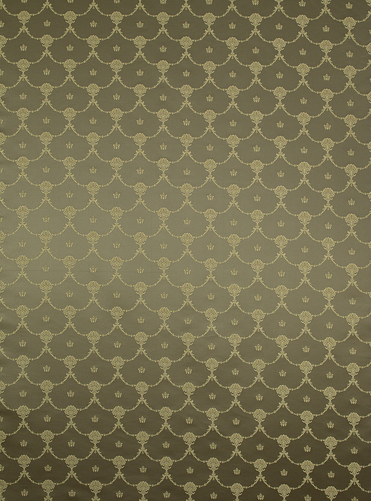 Canuts Collection Little Coordinated fabric image CGG view 1