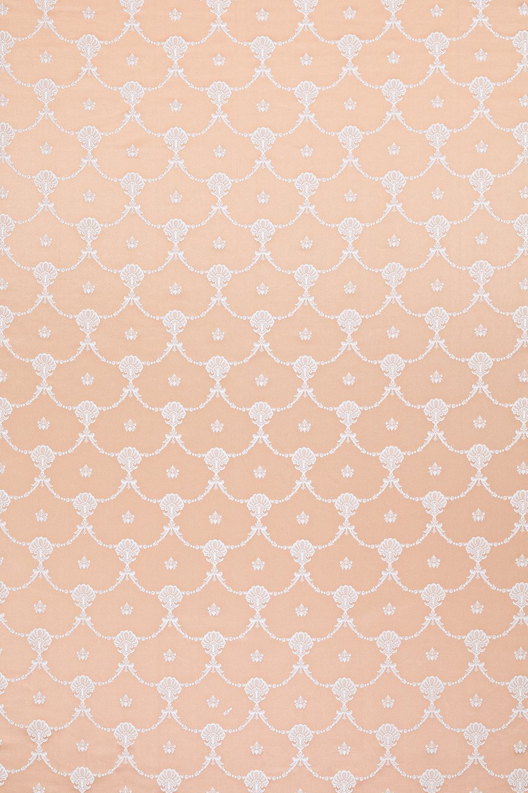 Canuts Collection Little Coordinated fabric image RP view 1