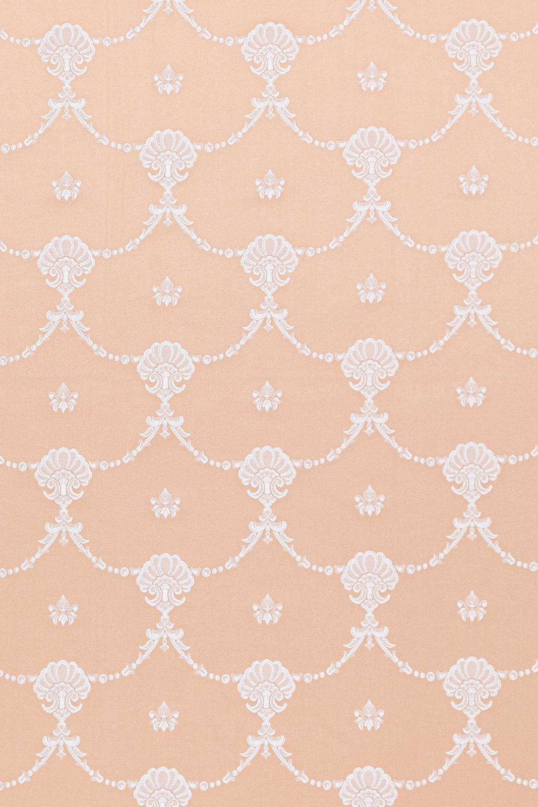 Canuts Collection Little Coordinated fabric image RP view 2