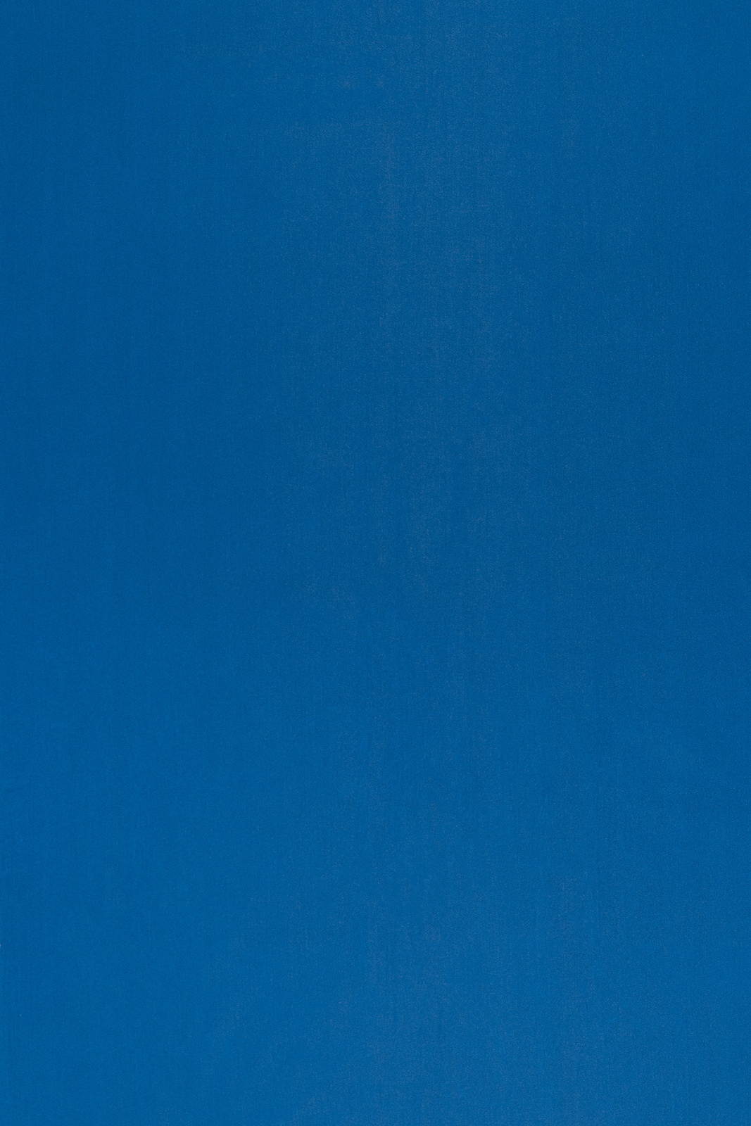 Canuts Collection Plain Color fabric image LB view 1