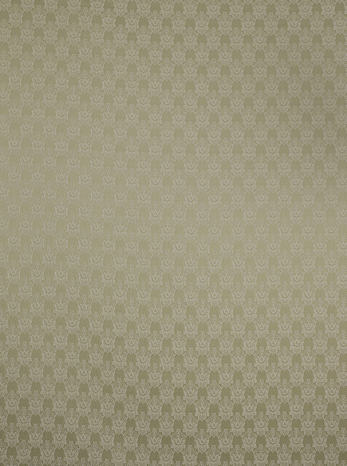 Carrara Collection Flower Coordinated fabric image GT view 1