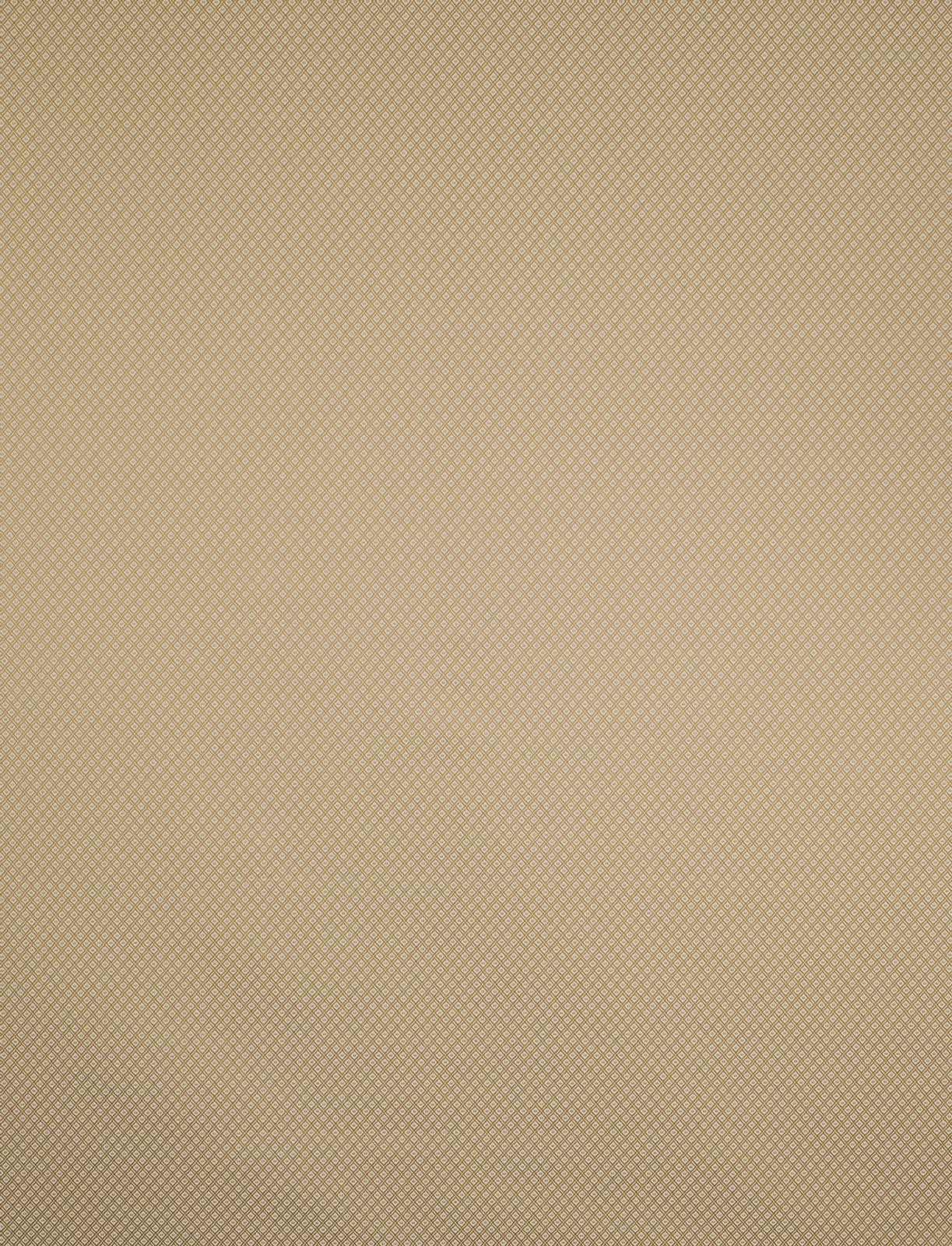 Carrara Collection Rhombus Coordinated fabric image GO view 1
