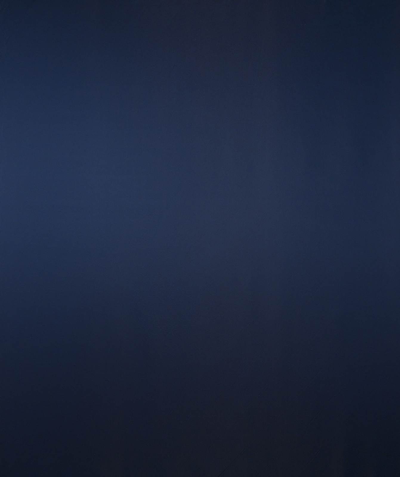 Florence Collection Plain Color fabric image NBG view 1