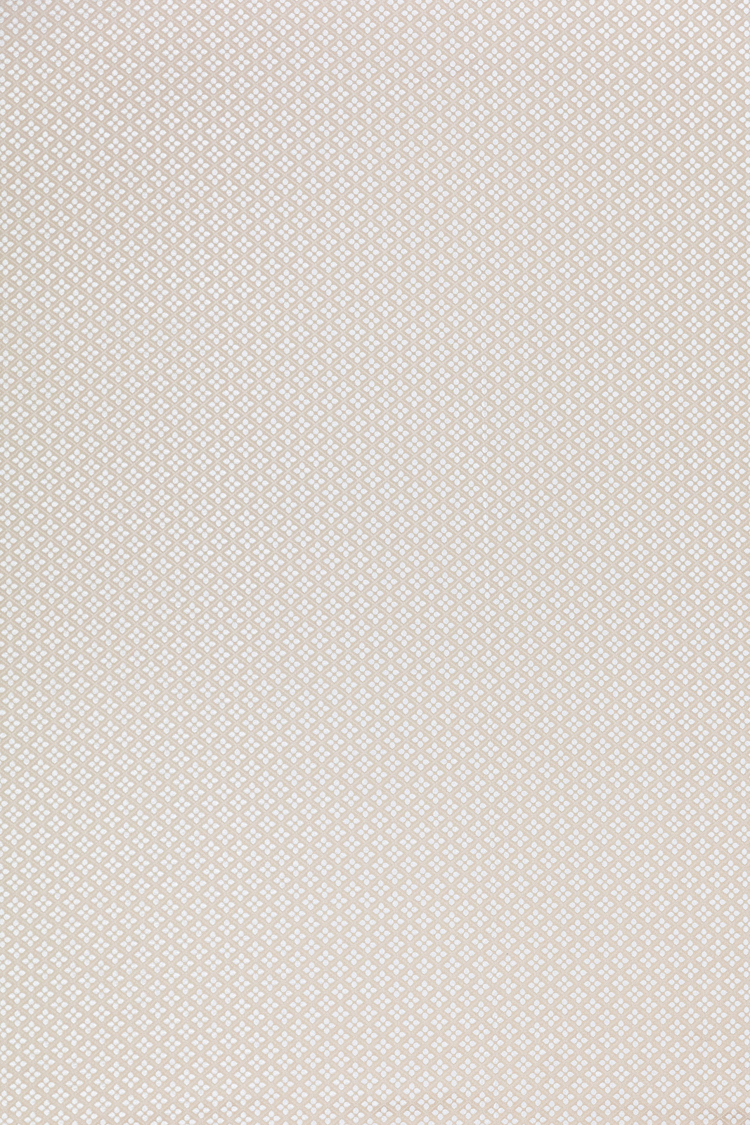 Renaissance Collection Geometric Coordinated fabric image CE view 1