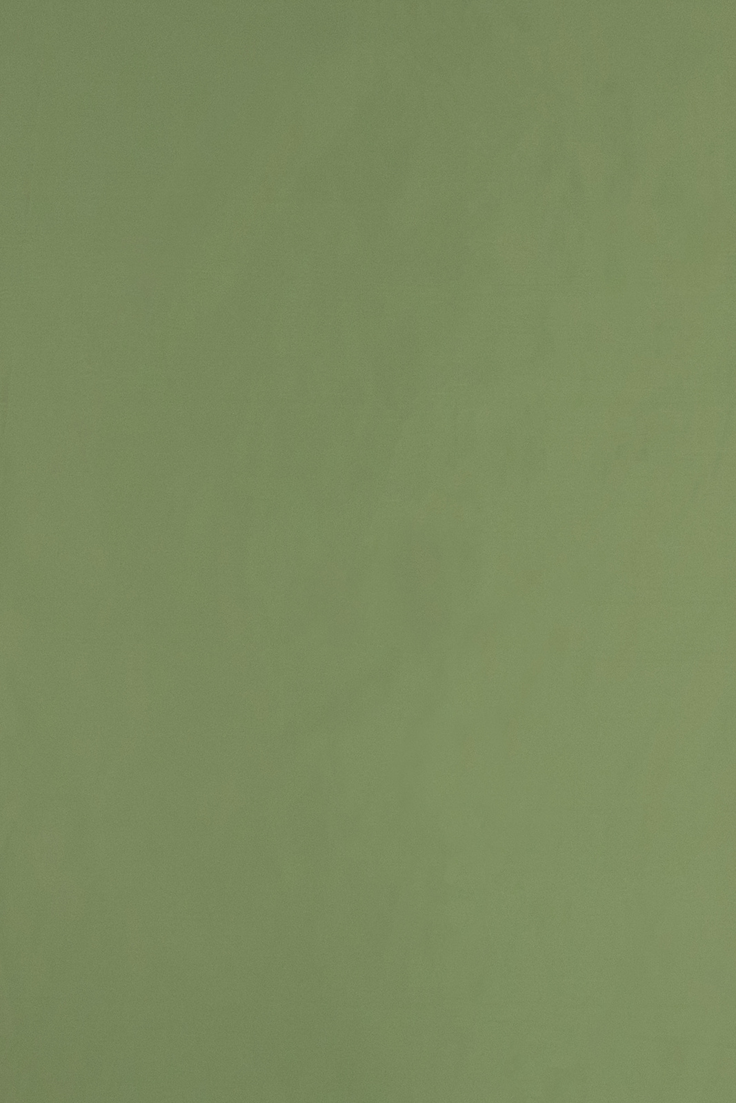 Royal Collection Plain Color fabric image EG view 1