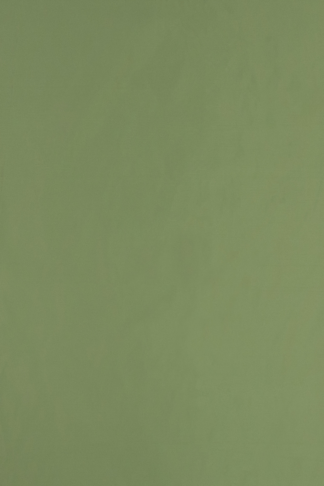 Serenissima Collection Plain Color fabric image EG view 1