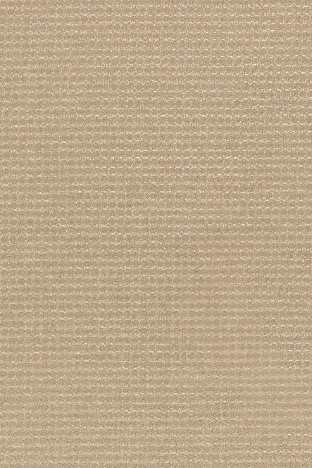 Timeless Collection Little Coordinated fabric image EB view 2