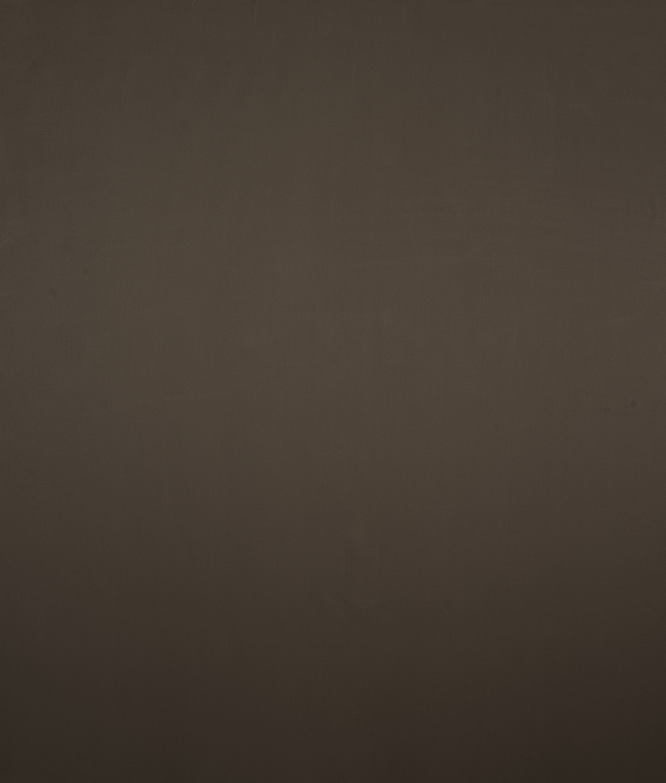 Timeless Collection Plain Color fabric image EB view 1